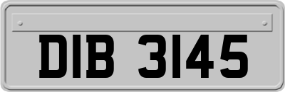 DIB3145