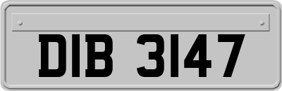 DIB3147
