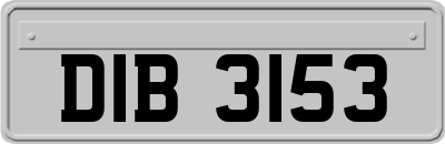 DIB3153