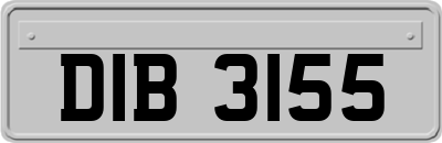 DIB3155