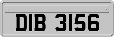 DIB3156