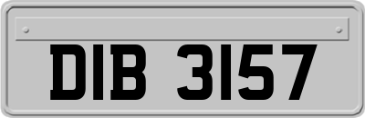 DIB3157