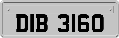 DIB3160