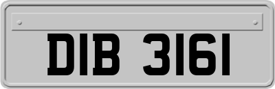 DIB3161