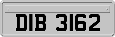 DIB3162