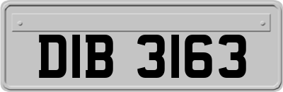 DIB3163