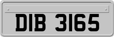 DIB3165