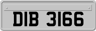 DIB3166