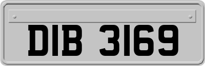 DIB3169