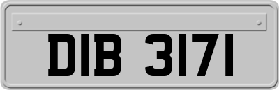 DIB3171