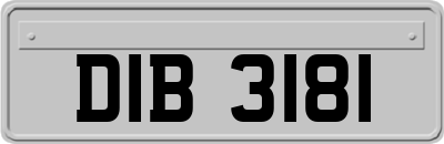 DIB3181