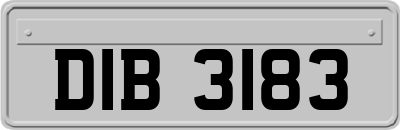 DIB3183