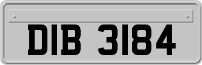 DIB3184