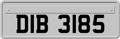 DIB3185