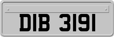 DIB3191