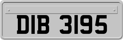 DIB3195