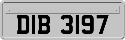 DIB3197
