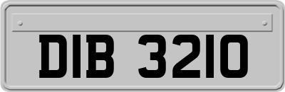 DIB3210