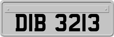 DIB3213
