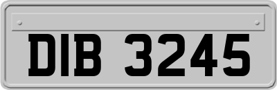 DIB3245