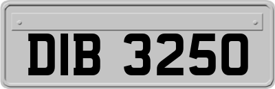 DIB3250