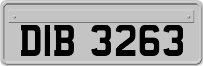 DIB3263