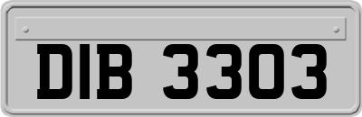 DIB3303