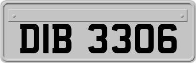 DIB3306