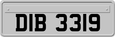 DIB3319
