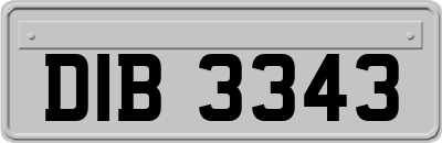 DIB3343