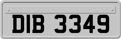 DIB3349