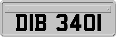 DIB3401