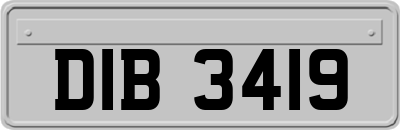 DIB3419