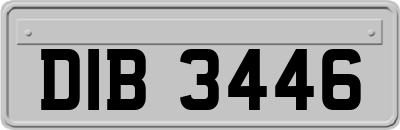 DIB3446