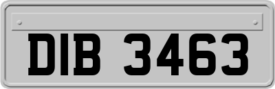DIB3463