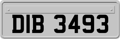 DIB3493