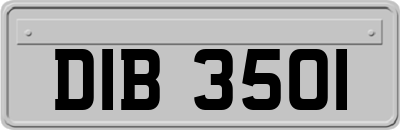 DIB3501