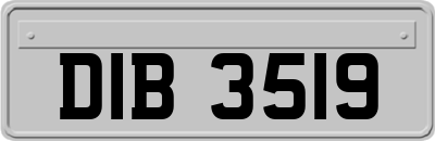 DIB3519
