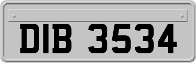 DIB3534