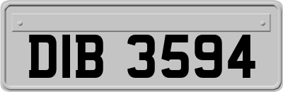 DIB3594
