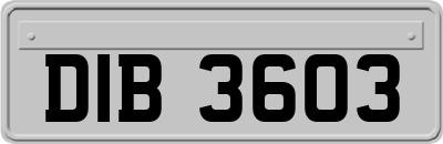DIB3603