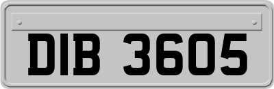 DIB3605