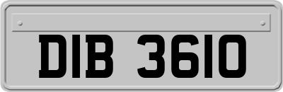 DIB3610