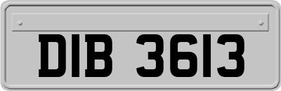 DIB3613