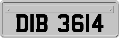 DIB3614