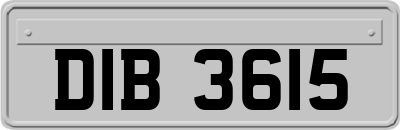 DIB3615