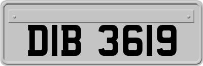 DIB3619