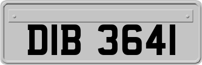 DIB3641