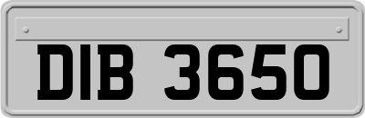 DIB3650