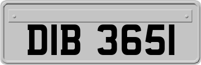 DIB3651